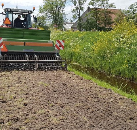 Project Buorkjen mei Wearde