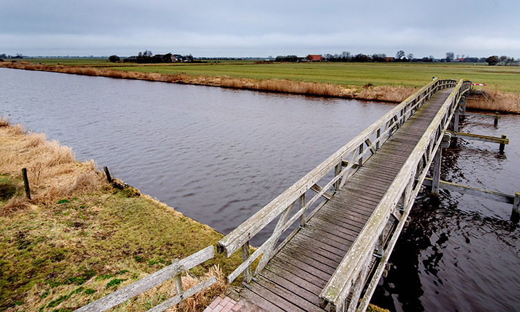 Brug over de Broeresleat