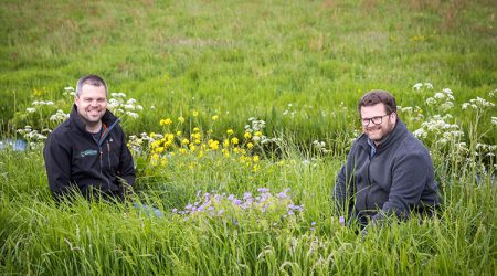 Bloemrijke bermen rondom de Tsjûkemar